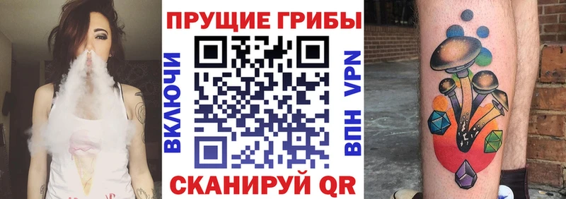 Галлюциногенные грибы Psilocybine cubensis  Купить  Темрюк 